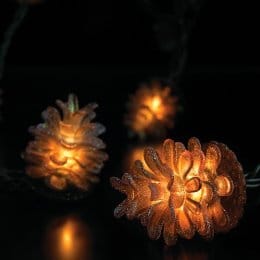 pinecone
