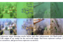 AI that de-hazes and adds color to underwater photos AI underwater