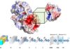 Purdue University is Creating Better Drugs With Deep Learning and Improved Protein Modeling