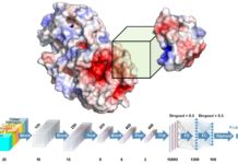 Purdue University is Creating Better Drugs With Deep Learning and Improved Protein Modeling