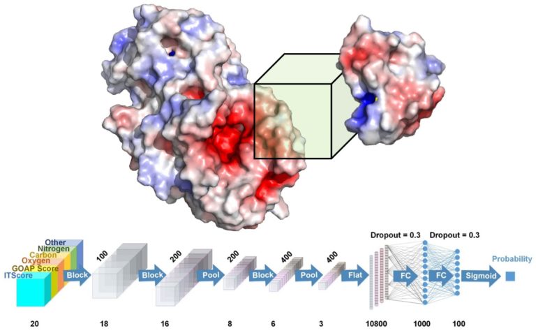 Purdue University is Creating Better Drugs With Deep Learning and Improved Protein Modeling