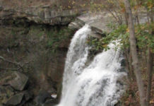 Cuyahoga Valley National Park: 5 Best Trails for Hiking brandywine falls
